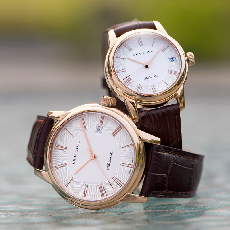 Hải Âu Cơ Nam Dây Kiểu Dáng Tố - đánh giá và giá Omega Watch Constellation